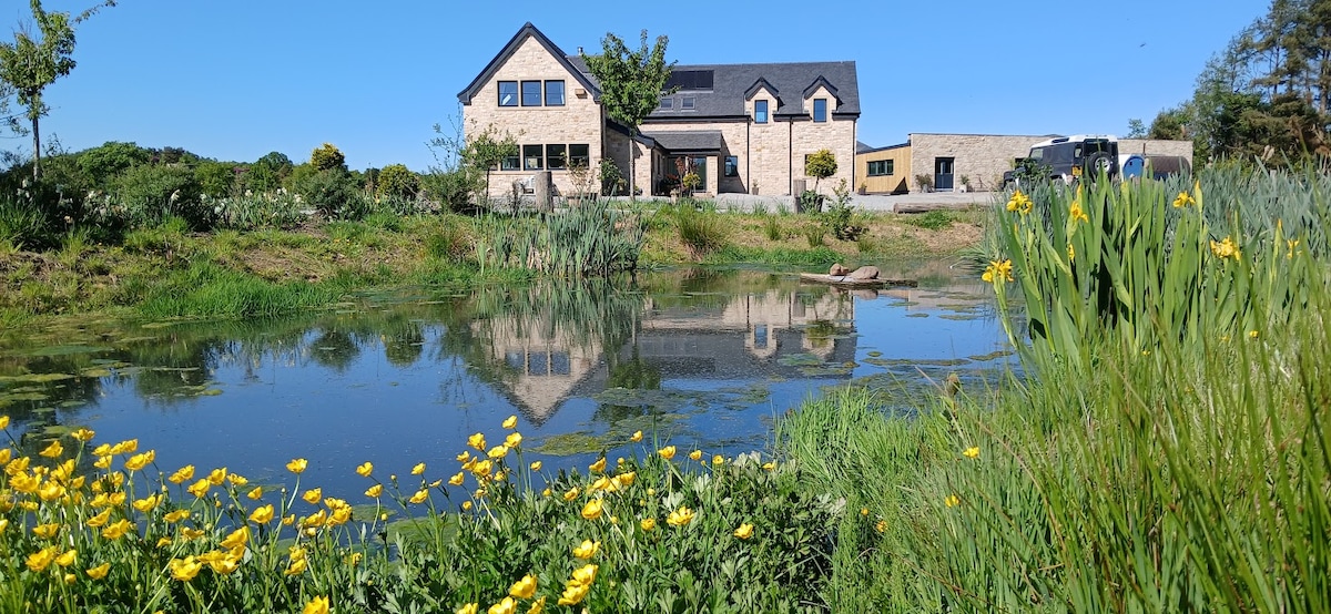The modern home is set alongside a serene pond, with vibrant yellow flowers in the foreground. Reflective waters capture the house's design, showcasing its large windows and spacious yard. Lush greenery surrounds the scene, enhancing the tranquil atmosphere.