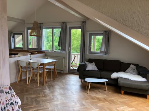 Top performing Airbnb: Bright, spacious 3-room apartment, view of the countryside in Bodenseekreis