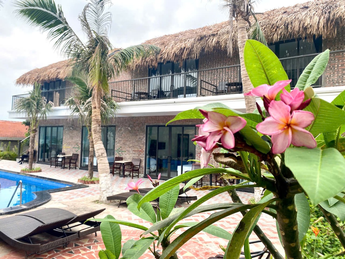 A serene setting is illustrated with a spacious homestay featuring a thatched roof and large windows. Lush plants and pink flowers add color in the foreground, while a swimming pool reflects the structure's inviting design. Outdoor seating is visible on the adjacent terrace.