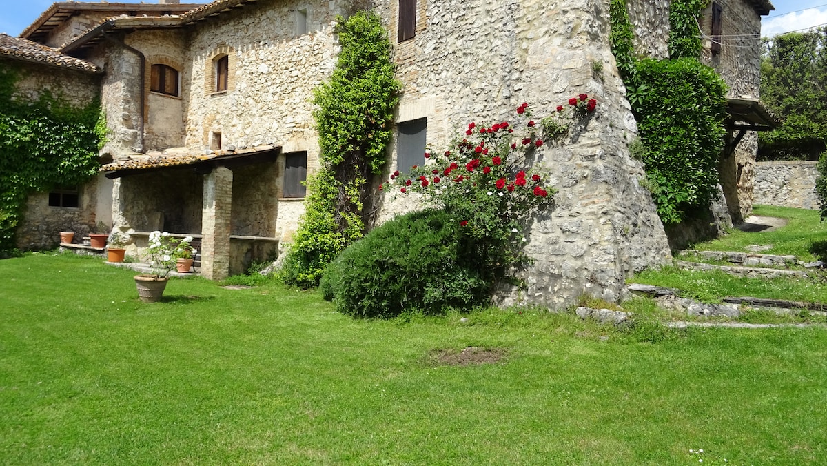 A stone farmhouse is surrounded by lush greenery and colorful flower bushes, including blooming red roses. A well-maintained lawn offers an inviting outdoor space, while a set of stone steps leads to the entrance, enhancing the charming setting of the property.