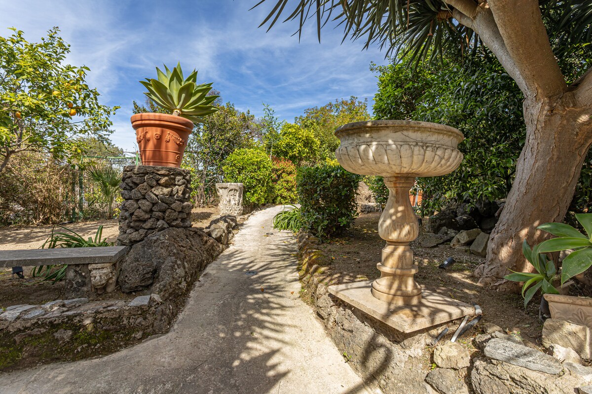 A winding pathway meanders through a lush garden, flanked by greenery and ornamental plants. A decorative stone fountain stands prominently along the path, with a terracotta pot housing a large plant situated nearby. The sky is bright and clear, enhancing the garden's vibrant atmosphere.