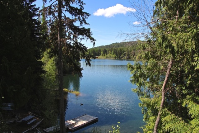 A serene lakeside view is framed by lush green trees, reflecting the vibrant blue sky above. The calm water surface mirrors the surrounding nature, while a wooden dock is visible at the water's edge, suggesting a peaceful outdoor setting.