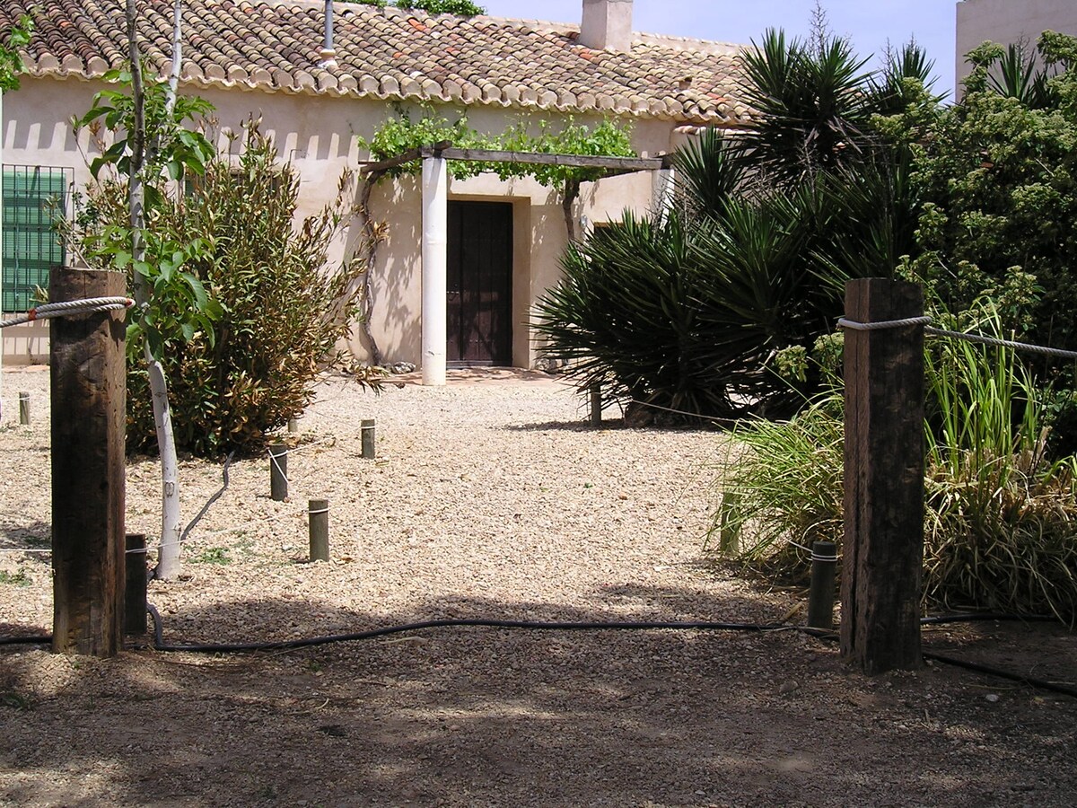 A rustic exterior view of the property reveals a natural landscape with varied greenery. A pathway leads to a welcoming entrance, framed by a vine-covered canopy. Gravel textures can be seen on the ground, complemented by surrounding plants and shrubs, contributing to a serene outdoor environment.