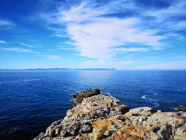 The Rock Cottage Hermanus - 허머너스