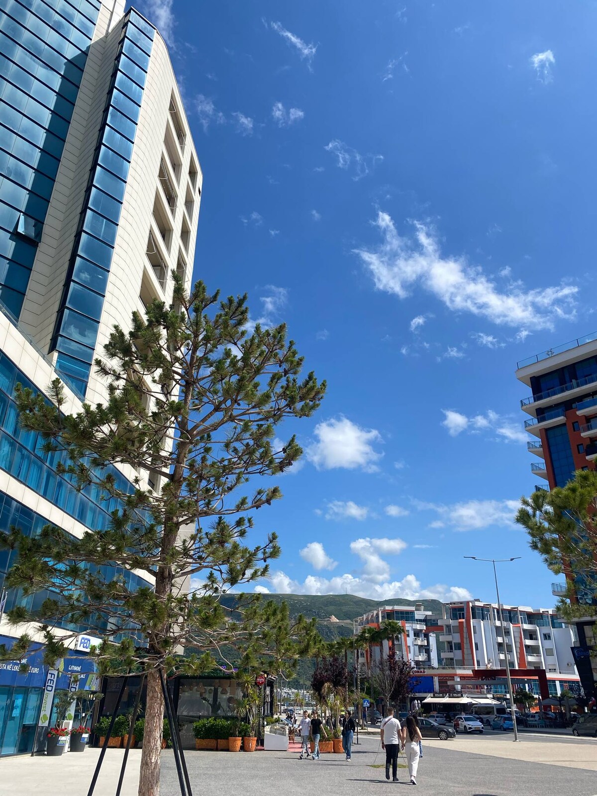 Listing 1423171926547663412