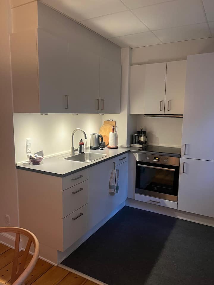 Central Perle På Vesterbro - Kopenhag