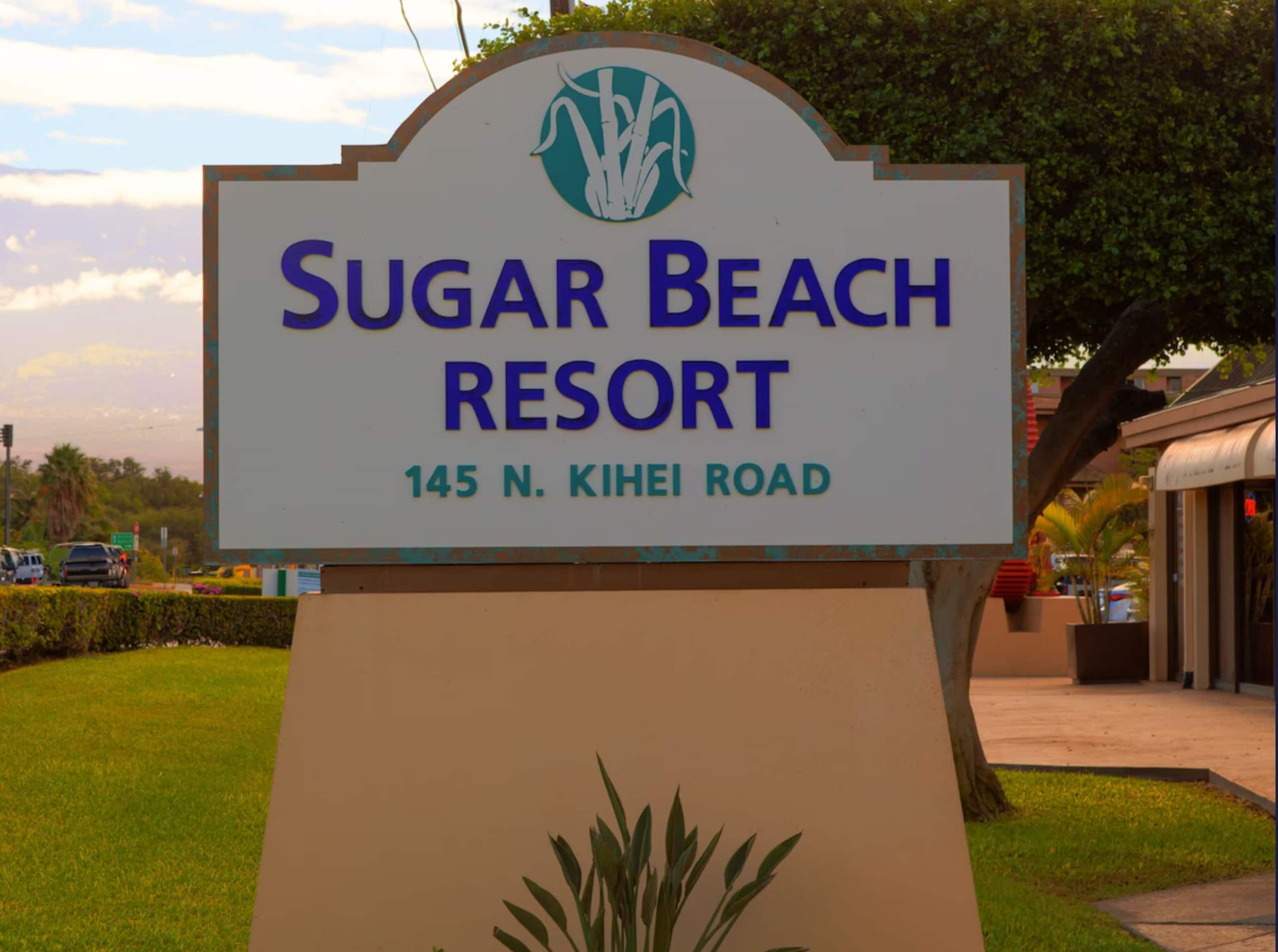 Stunning Oceanfront Condo w/ AC - Image 20