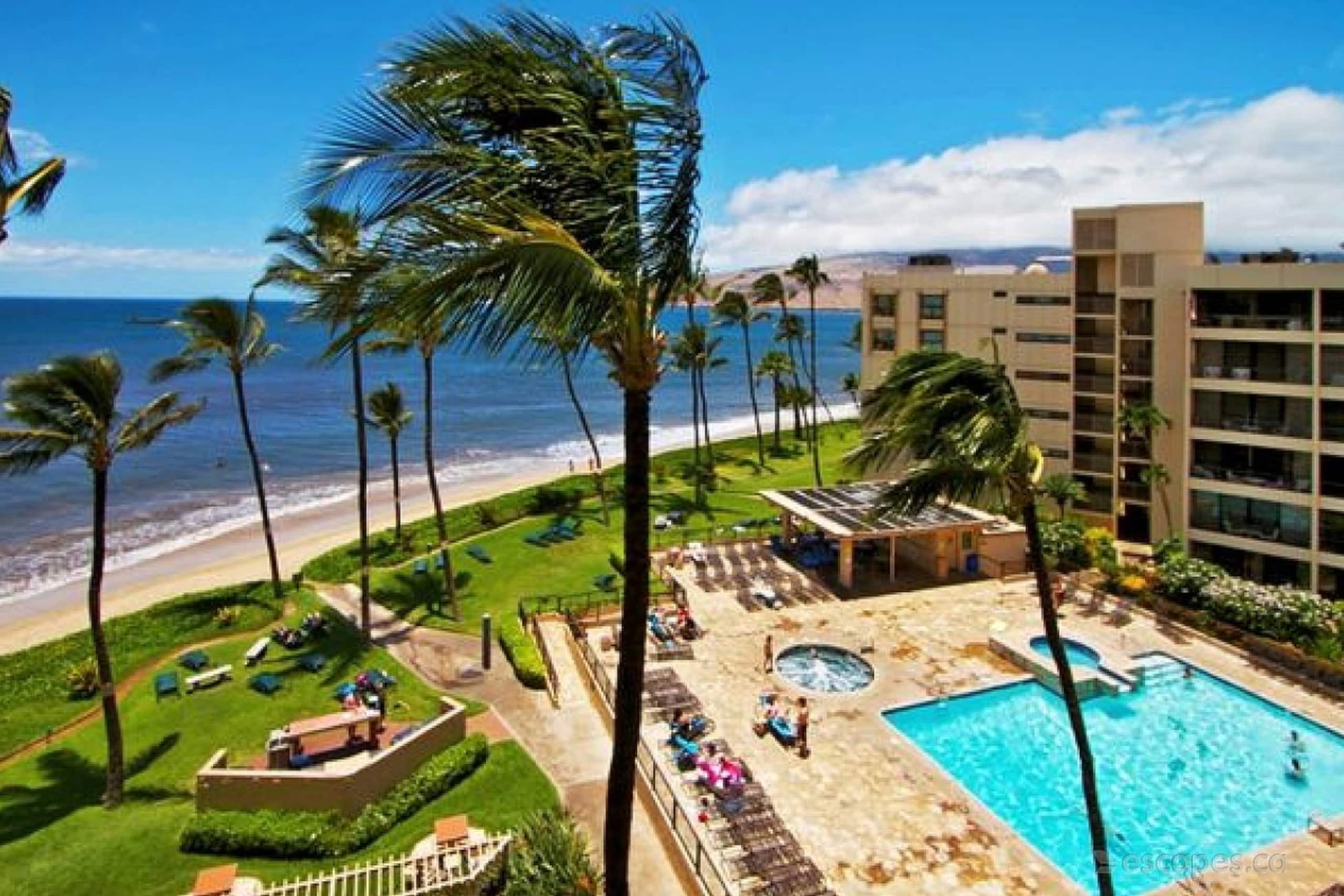 Stunning Oceanfront Condo w/ AC - Image 23