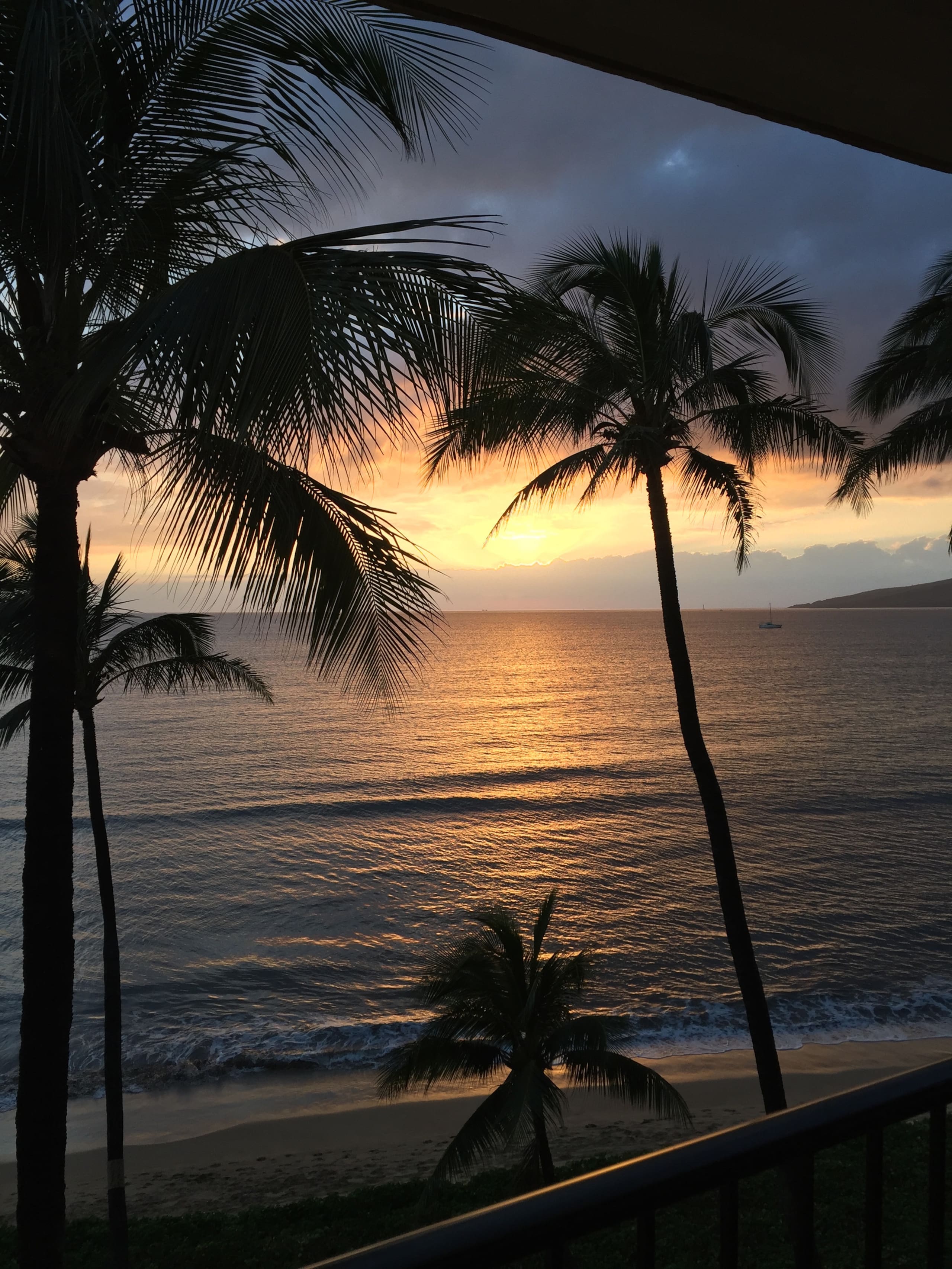 Stunning Oceanfront Condo w/ AC - Image 29