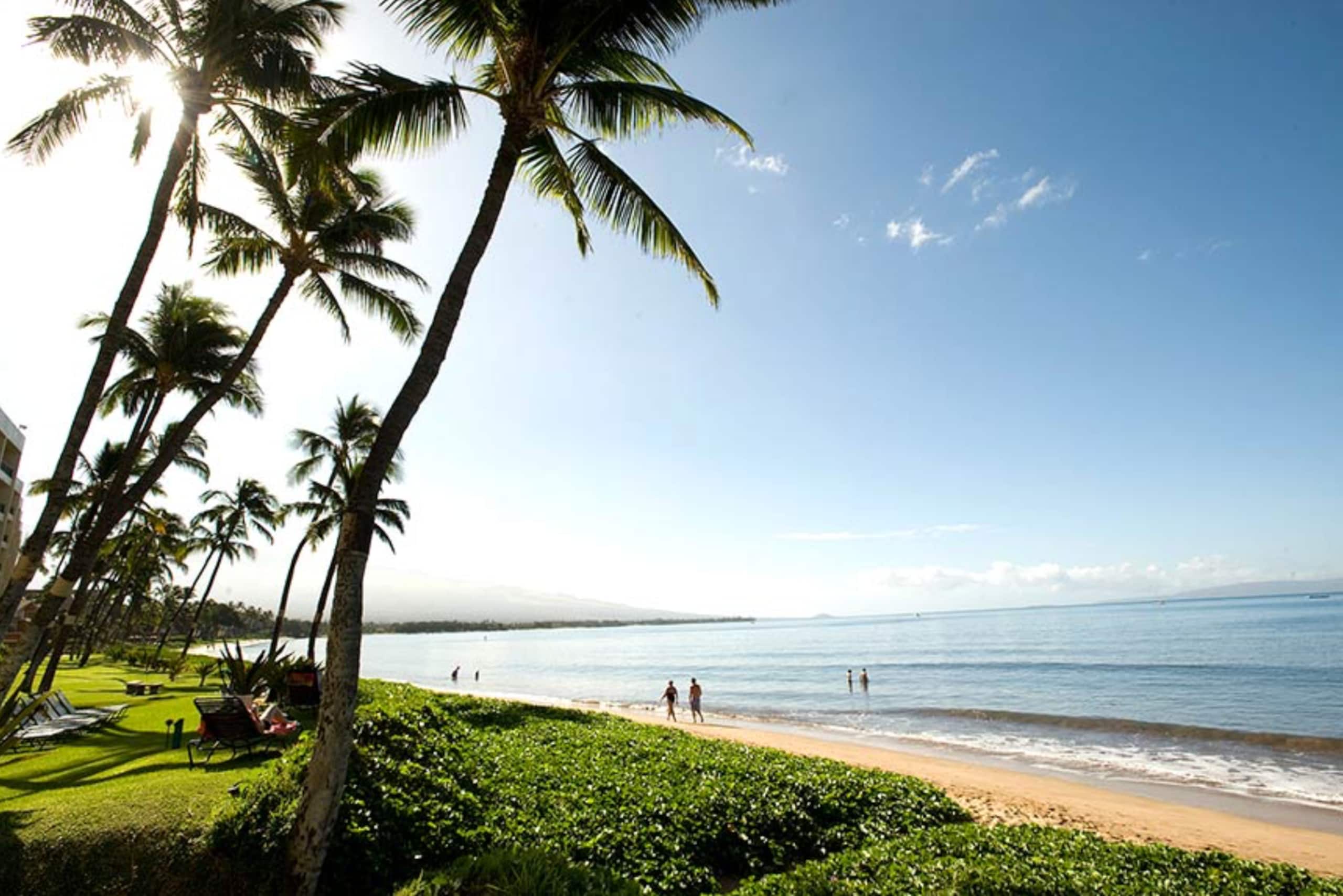 Stunning Oceanfront Condo w/ AC - Image 26