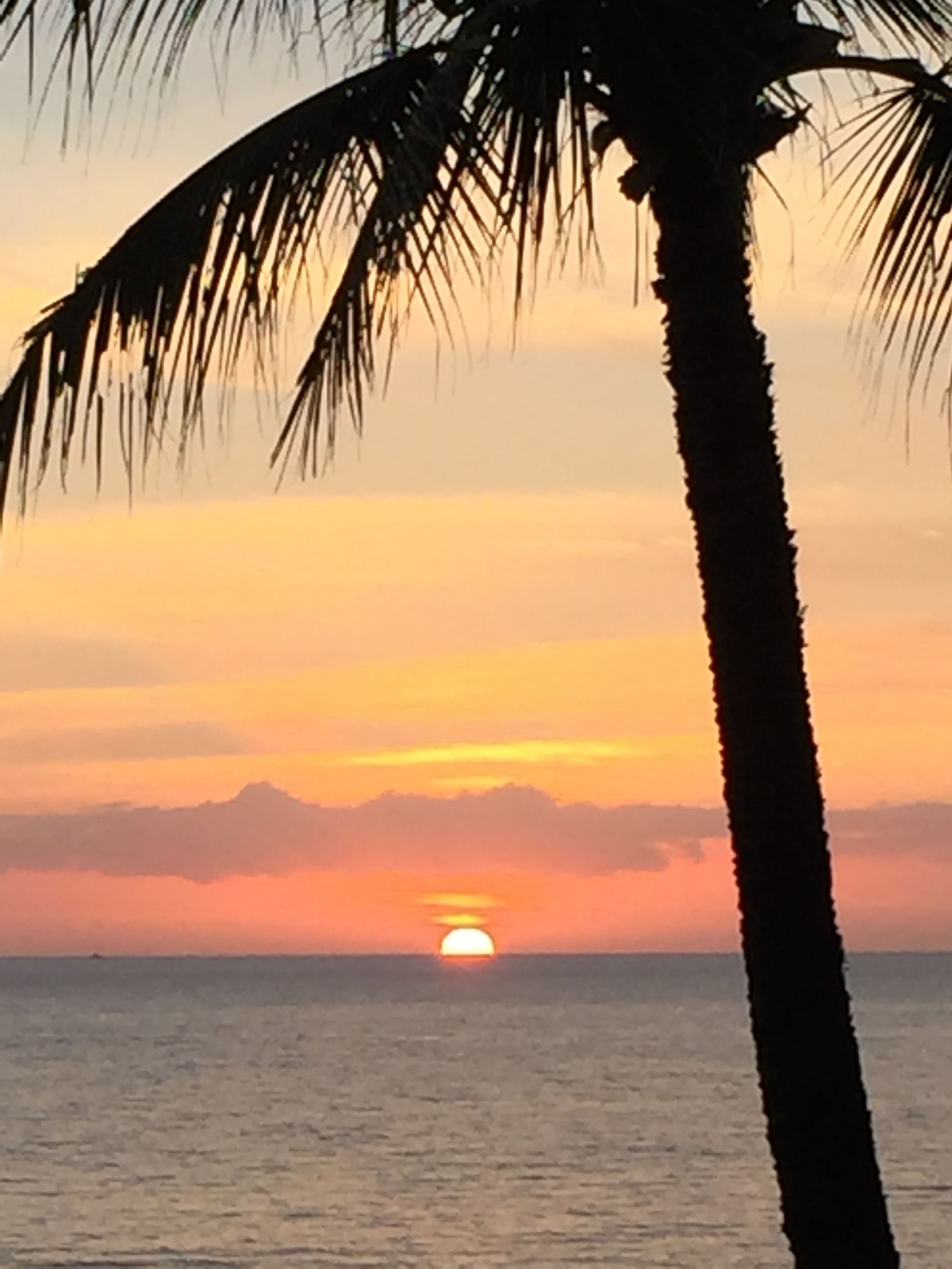 Stunning Oceanfront Condo w/ AC - Image 28
