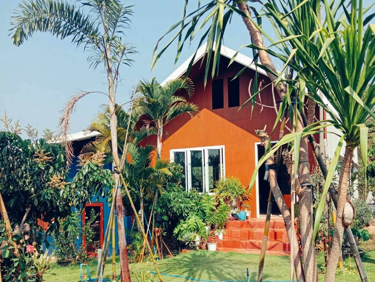 A vibrant house is surrounded by lush greenery and palm trees. The home's exterior features a rich orange color, and large windows allow natural light to enter. A few steps lead to the front entrance, which is framed by various plants and landscaping elements.