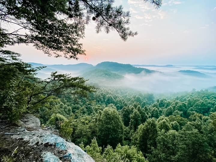 The Wilds: all 5 Cabins on 100 Acres (sleeps 44)