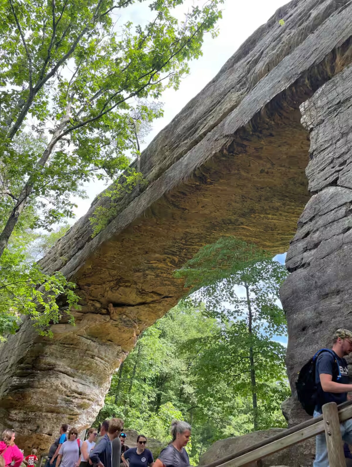 A natural stone arch rises above lush green trees, with hikers navigating a path below. The arch's textured surface is highlighted in natural light, while the surrounding vegetation enhances the serene atmosphere of the outdoor landscape.