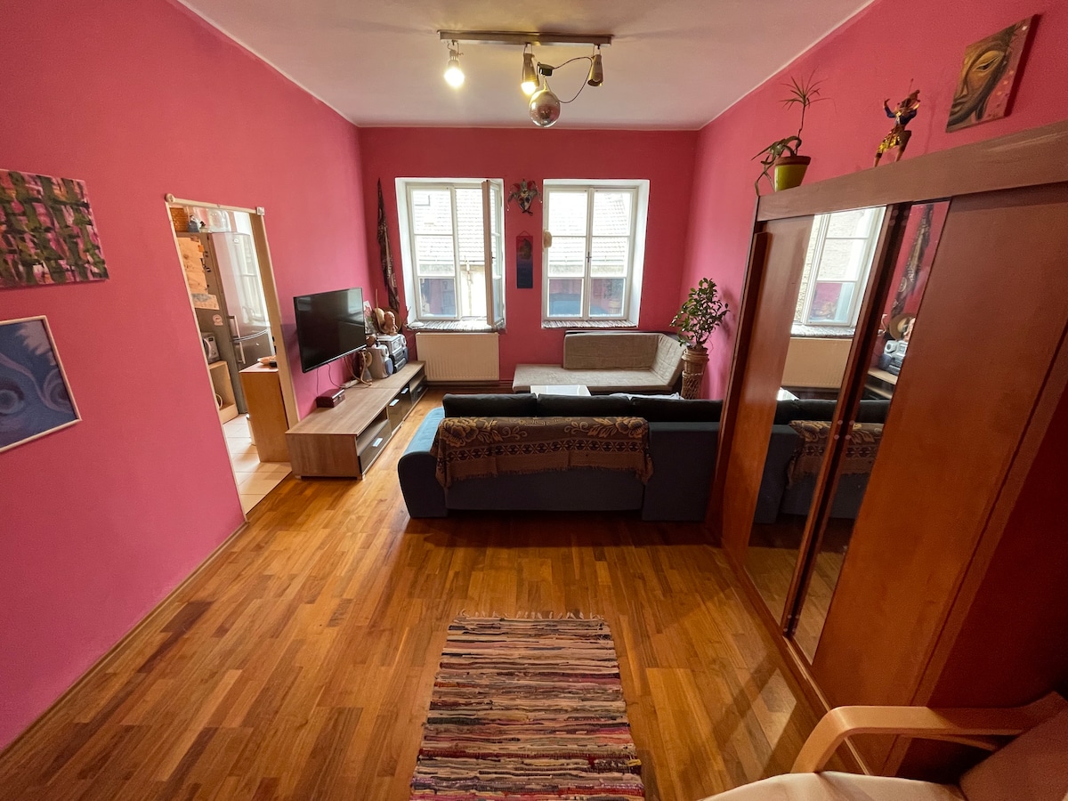 A living area features pink walls complemented by wooden flooring. A dark sofa and light-colored seating are arranged around a low wooden table. A television is mounted on a media console, with natural light streaming through two windows. A decorative rug adds warmth to the space.