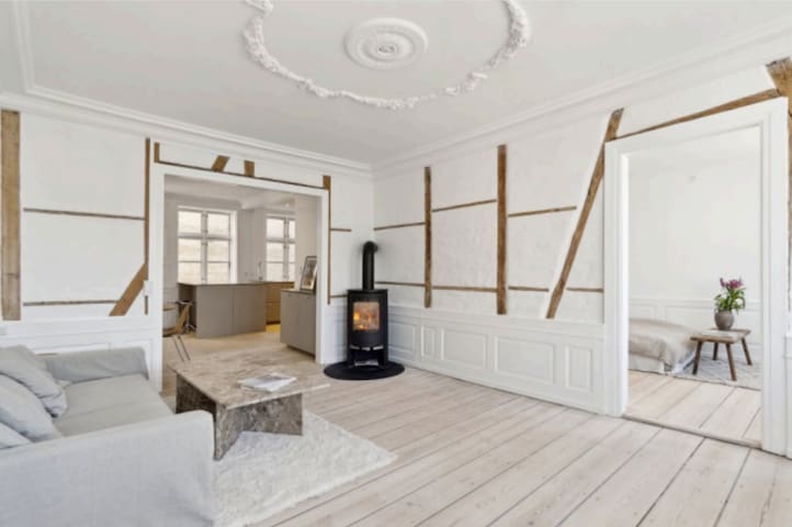 Stor lys lejlighed i centrum