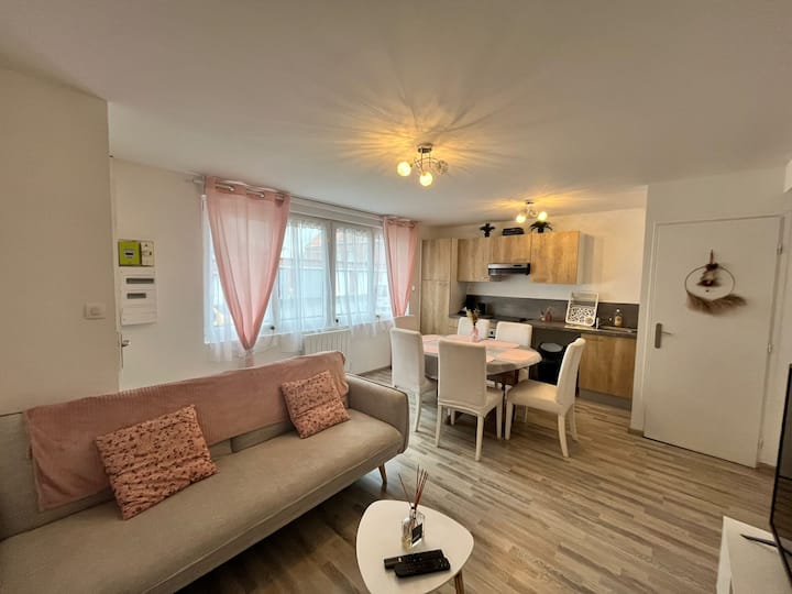Appartement Chaleureux 50m² - Orchies
