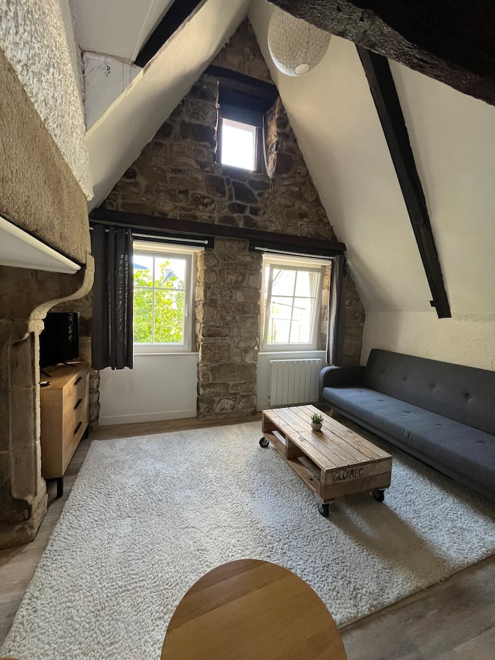Studio Au Pied De La Cathédrale - Quimper
