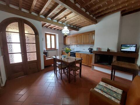Detached house with garden