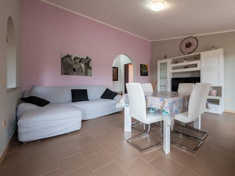 Successful Airbnb property: Alberto's apartment in Chia in Domus De Maria