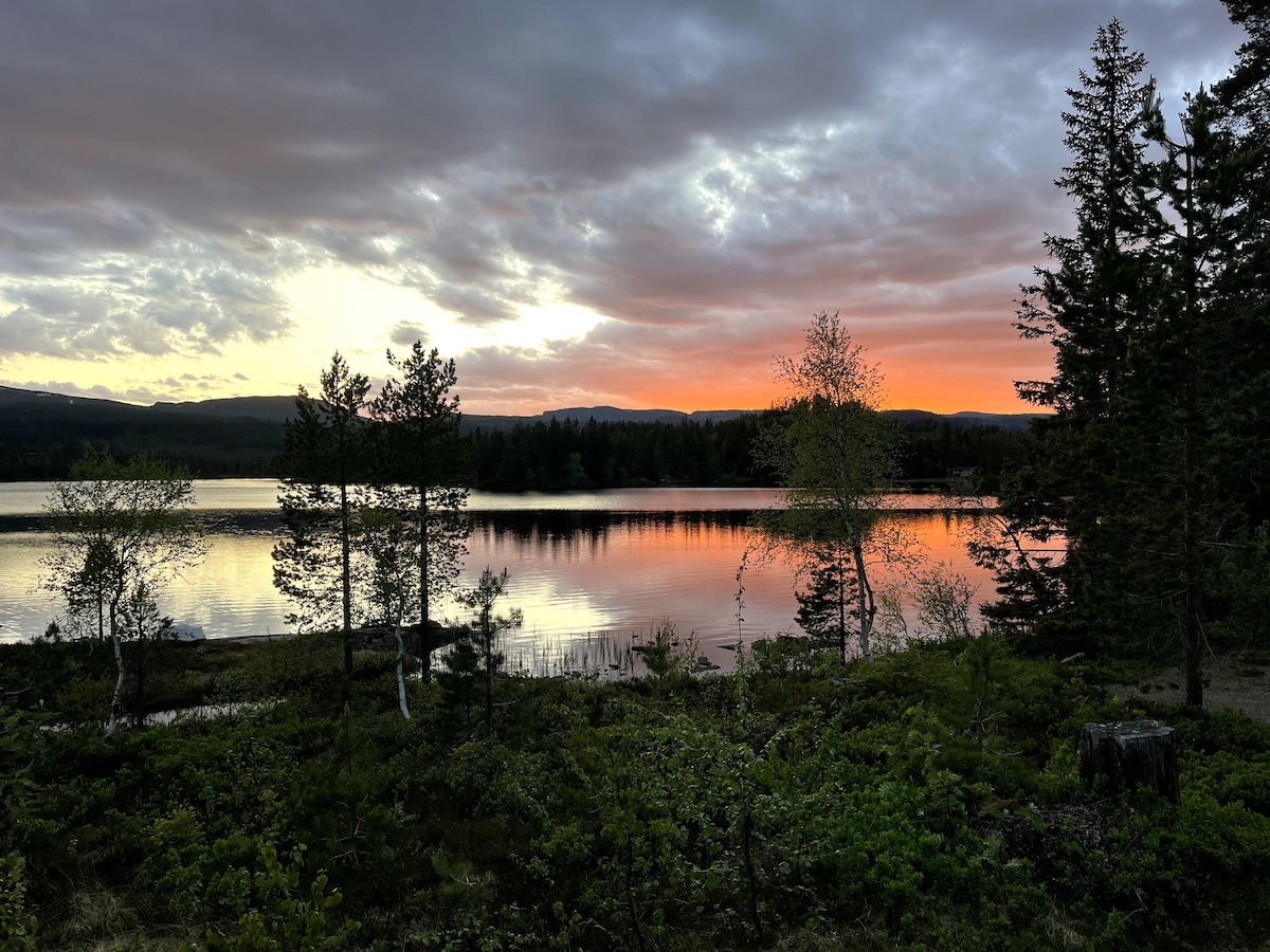 A serene lakefront at dusk is displayed, with calm water reflecting soft hues of orange and purple from the setting sun. Silhouetted trees frame the water's edge, while lush greenery fills the foreground, creating a peaceful natural setting.