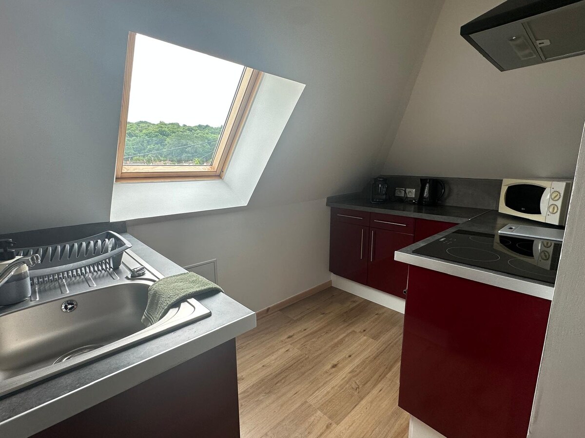 A compact kitchen features modern red cabinetry, equipped with an oven, stovetop, microwave, and kettle. A sink with a dish rack is positioned near a skylight that allows natural light. The kitchen flooring is light wood, creating a warm and functional cooking space.