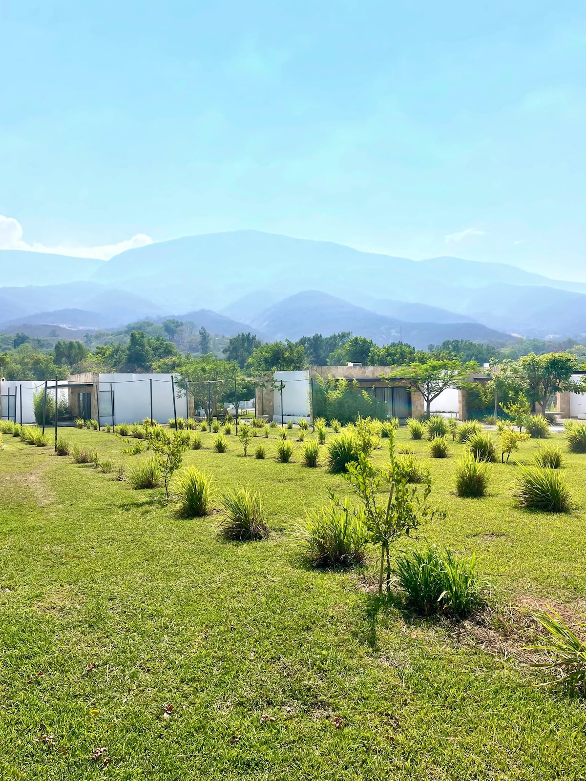A serene landscape is presented, featuring a green lawn dotted with small shrubs and plants. In the background, mountains rise under a clear blue sky, while simple white structures are visible, surrounded by trees and greenery.