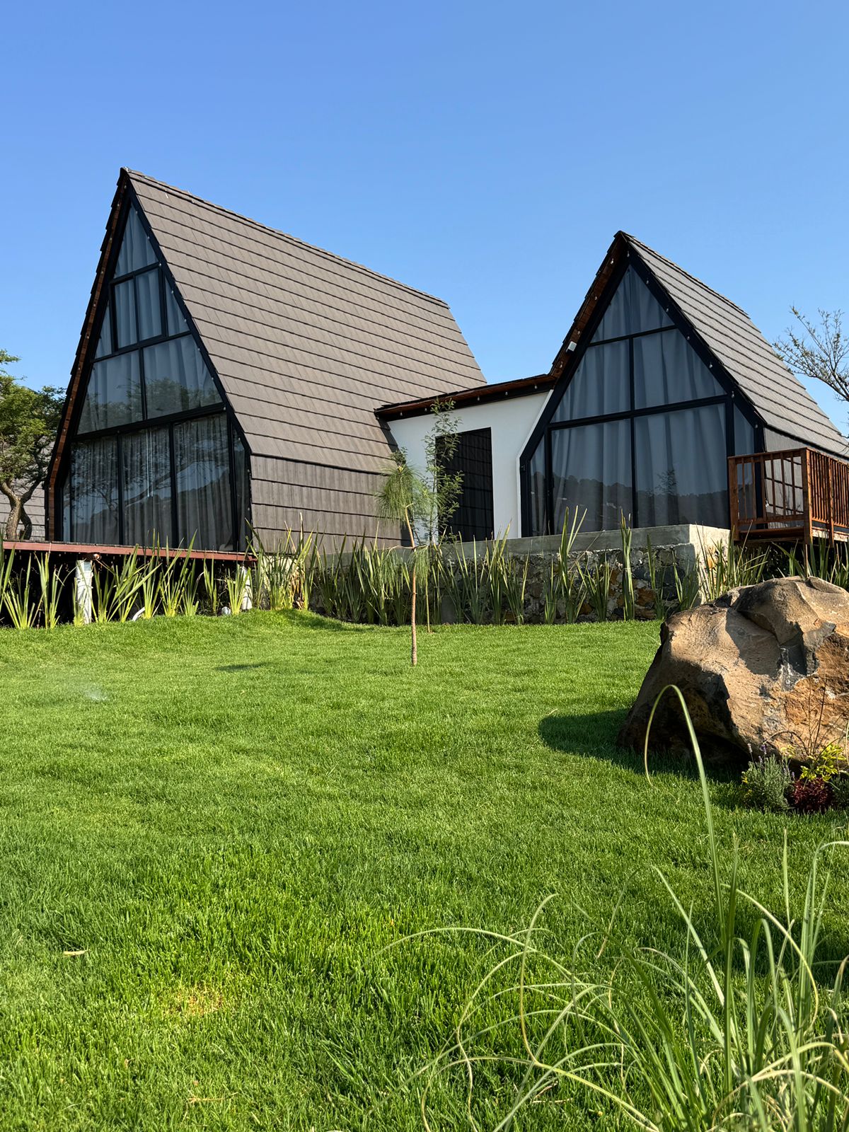 A modern cabin features a distinctive design with a steeply pitched roof. The large glass windows reflect natural light and offer views of the surrounding greenery. A well-manicured lawn, adorned with ornamental grasses and a prominent rock, provides a serene setting.