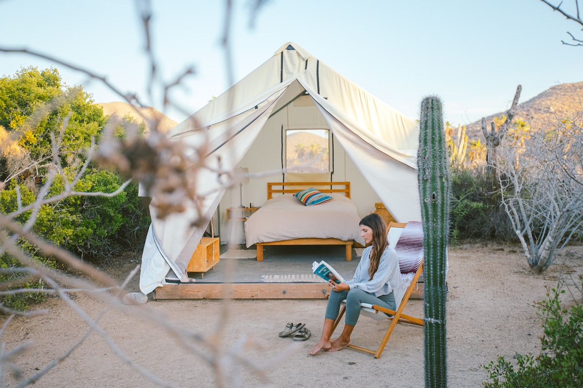 A canvas cabana is shown with a spacious bed and a reading area visible outside. Natural surroundings, including desert flora, frame the entrance. Soft colors reflect the calming atmosphere, inviting moments of relaxation and reflection just steps away from nature.