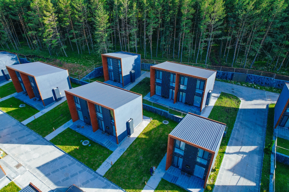 Aerial view of modern cabins positioned in a green landscape. The cabins feature contrasting grey and brown exteriors, each with large windows and sloped roofs. Grassy areas surround the cabins, providing a harmonious blend with the natural backdrop of trees.
