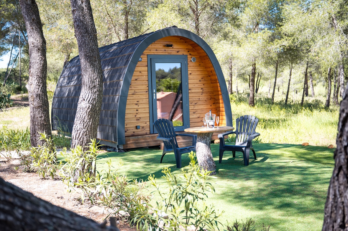A curved wooden pod is set among pine trees, featuring a welcoming entrance framed by large windows. A small outdoor seating area includes two black adirondack chairs and a round table, all positioned on green grass with surrounding natural foliage.