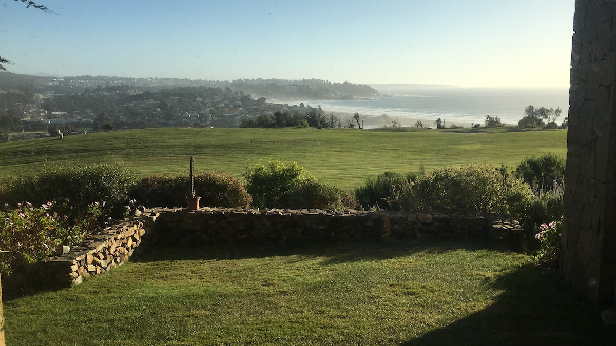 A scenic view captures a green, grassy landscape leading to a coastline, with gentle waves lapping at the shore. The horizon is lined with distant hills and settled homes, while lush shrubbery adds depth to the foreground.