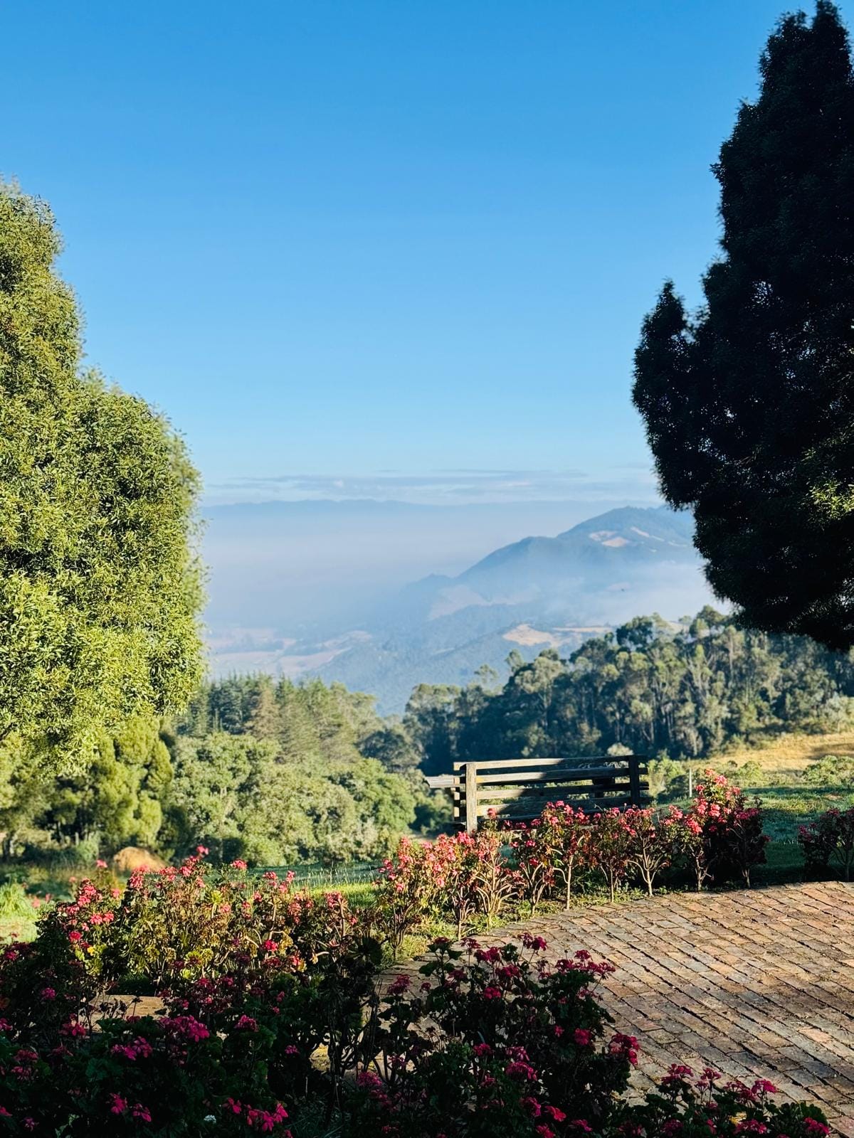 An expansive view of rolling mountains and valleys is framed by trees and vibrant flowering bushes. The clear blue sky creates a serene backdrop, inviting moments of reflection. A path of brick leads through the garden, enhancing the natural beauty of the surroundings.