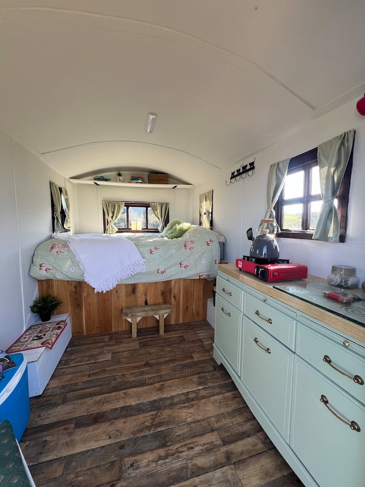 The Sit Back Shack - Bishop Auckland