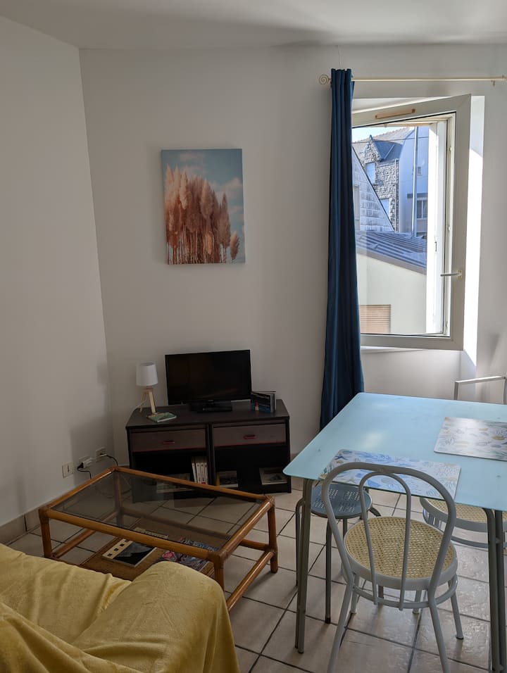 Studio, Près Du Port  Plaisance. - Plonévez-Porzay