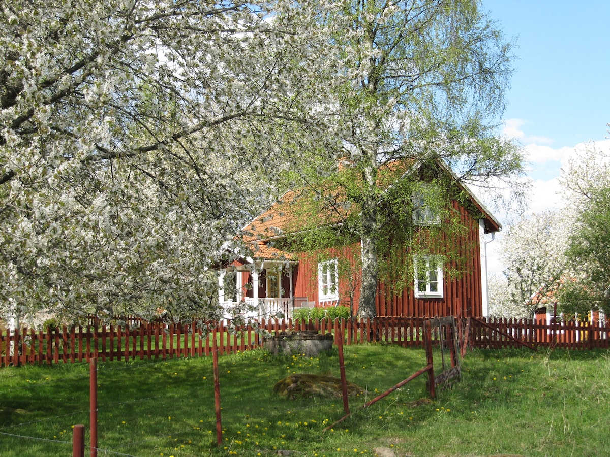 A charming red wooden cottage is set against a backdrop of flowering trees and a green lawn. The house features a welcoming porch with steps leading to the entrance, surrounded by a decorative red fence, creating a serene outdoor space.