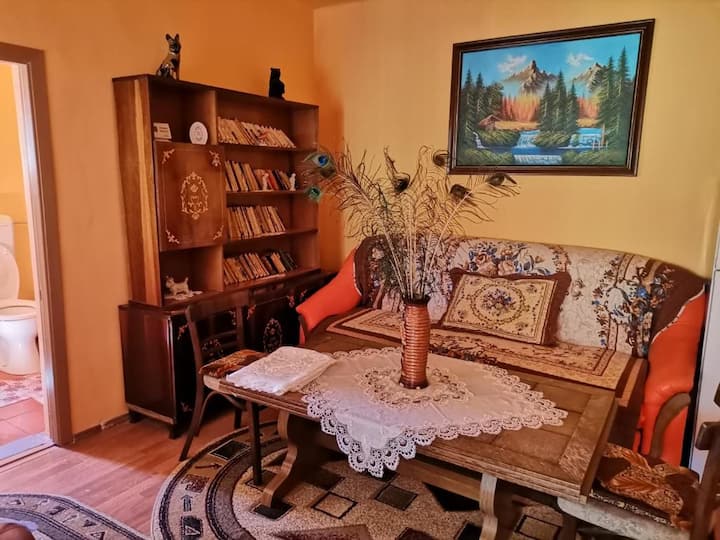 Casa Dana - Hațeg
