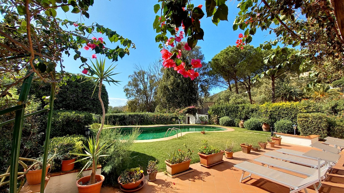 A serene outdoor space features a private pool surrounded by lush, well-maintained gardens. Potted plants, including vibrant flowers, enhance the setting. Sun loungers are positioned nearby, providing a comfortable area for relaxation beneath a clear blue sky.