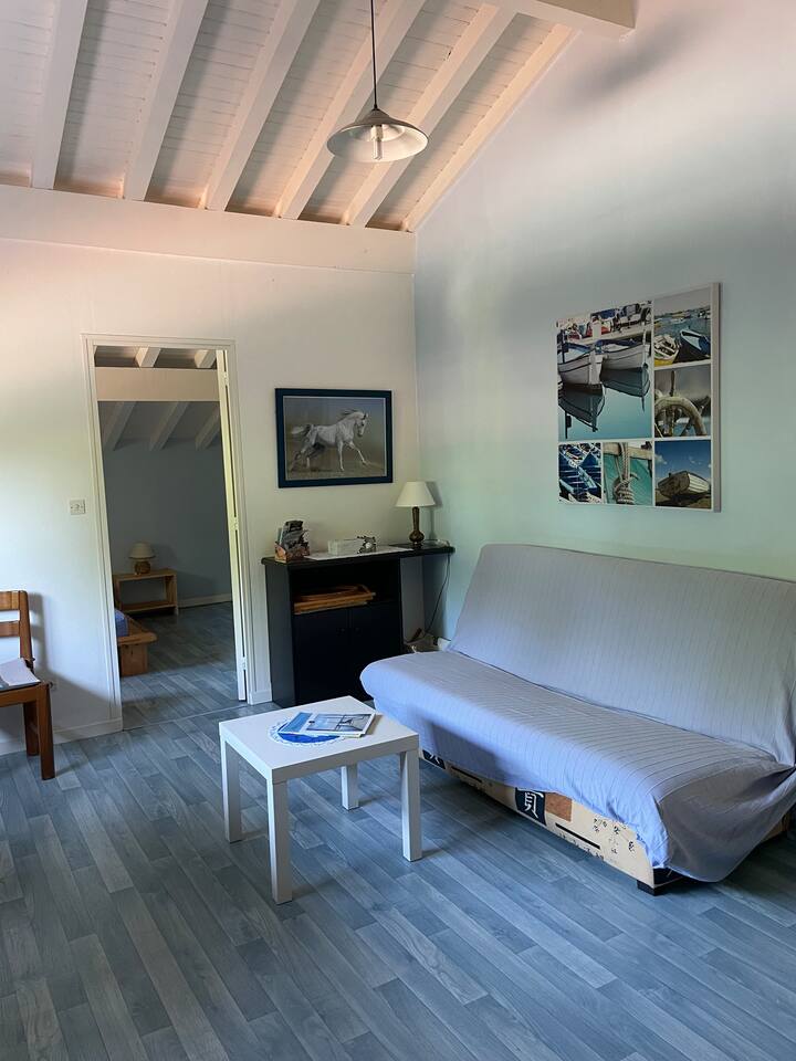 Appartement Avec Jardinet - Lège-Cap-Ferret