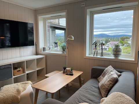 Top performing Airbnb: New apartment on Brattholmen in Laksevåg