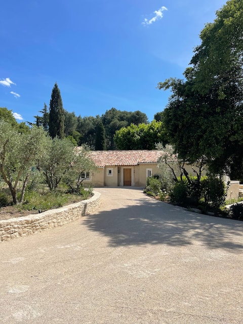 Mas Certain, vineyard in the Alpilles