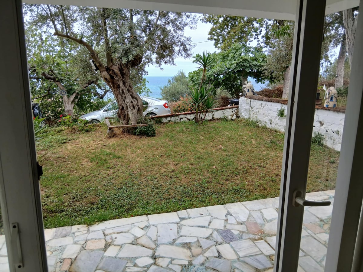 A serene outdoor space features a grassy area bordered by olive trees and shrubs. A stony path leads to a view of the sea in the background, while a car is parked nearby. The scene captures a connection between nature and comfortable living.