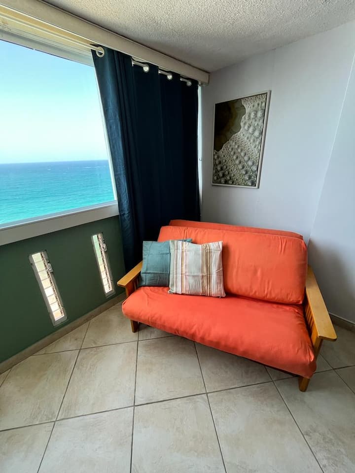 BEACHFRONT FULL APARTMENT PET FRIENDLY CONDADO Apartments for Rent