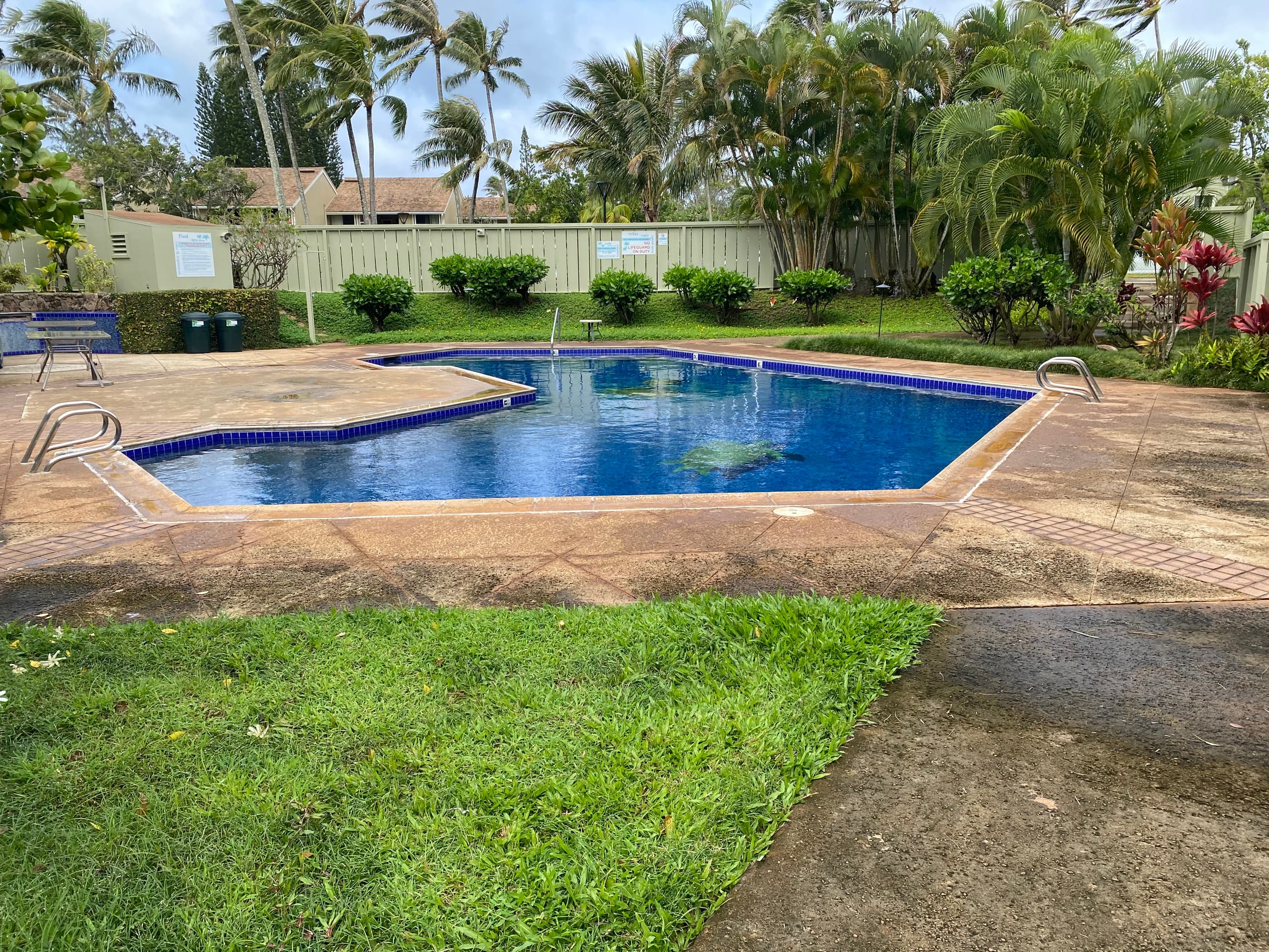 Condo in Kahuku · ★4.67 · Studio · 2 beds · 1 private bath - Image 19