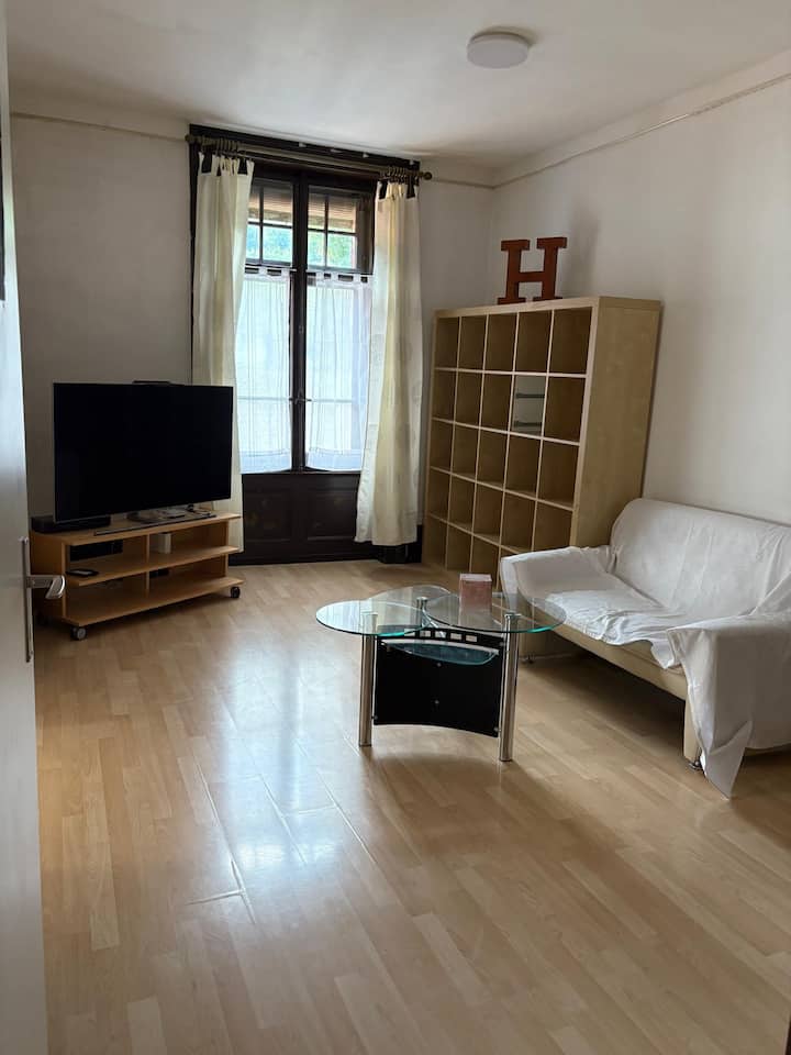 My Memory (Private Apt, 2 Rooms, Double & Single ) - Interlaken