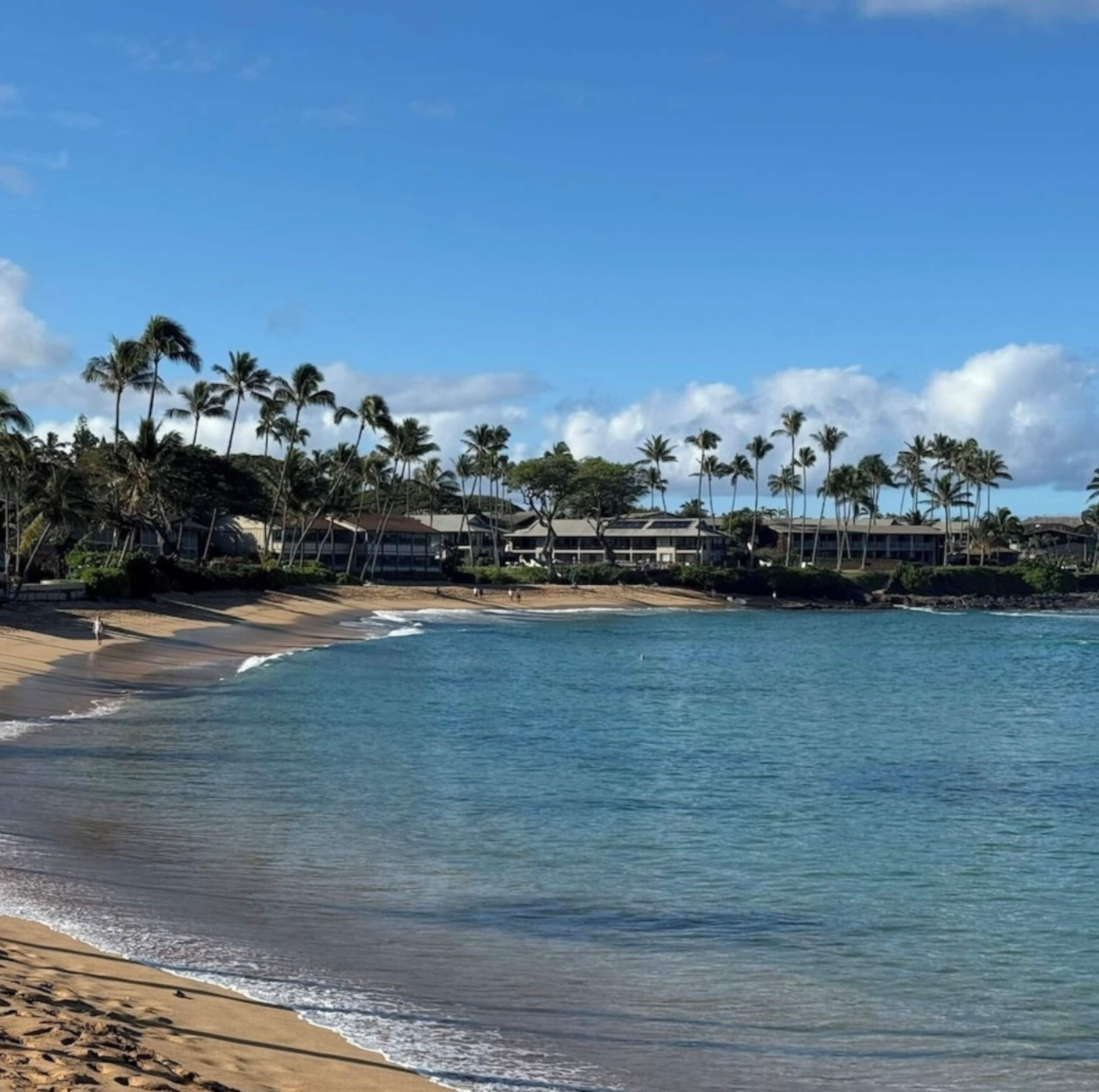 Oceanfront Resort Maui~ AC/King~ Sandy Napili Bay! - Image 56