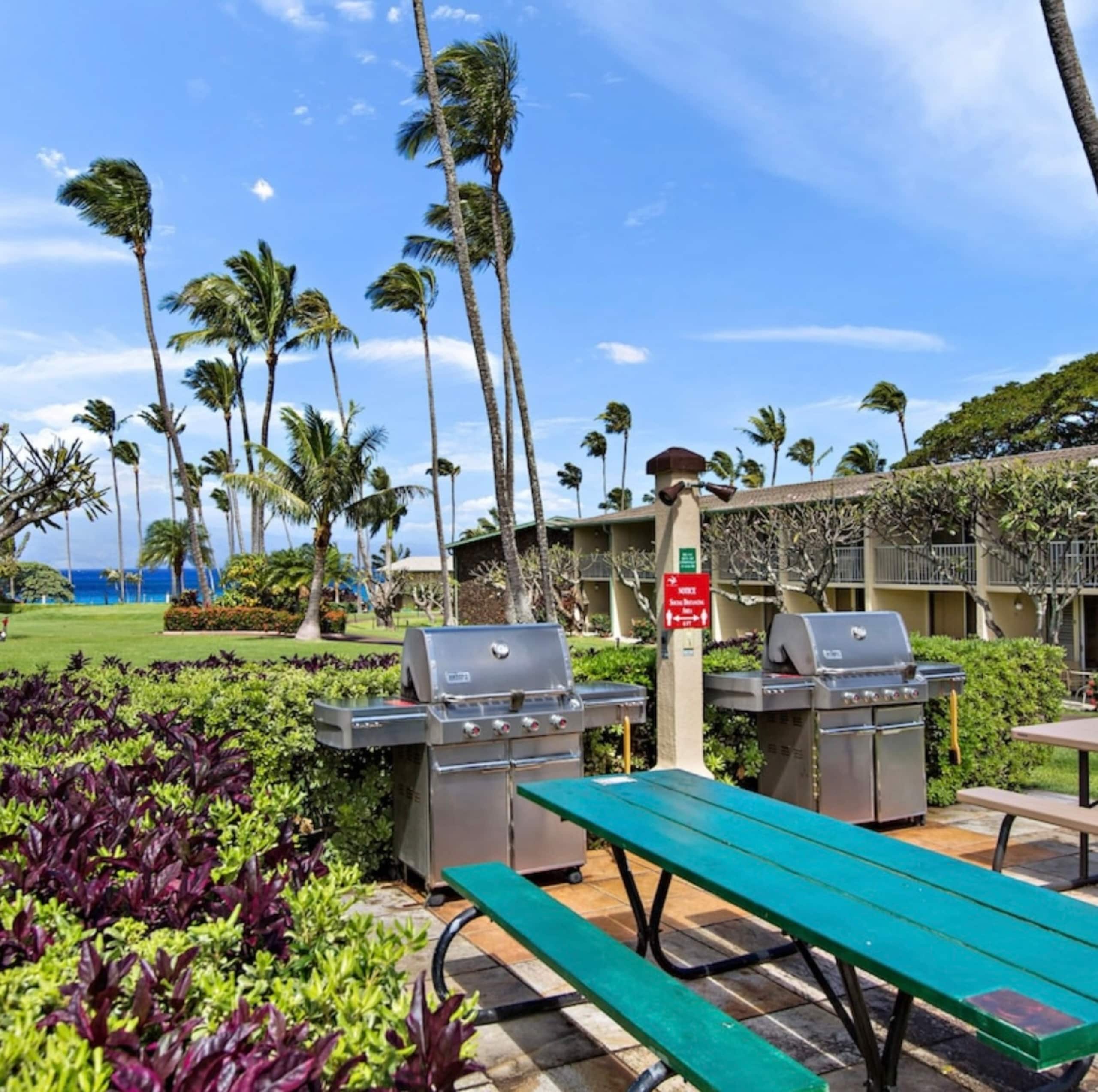 Oceanfront Resort Maui~ AC/King~ Sandy Napili Bay! - Image 53