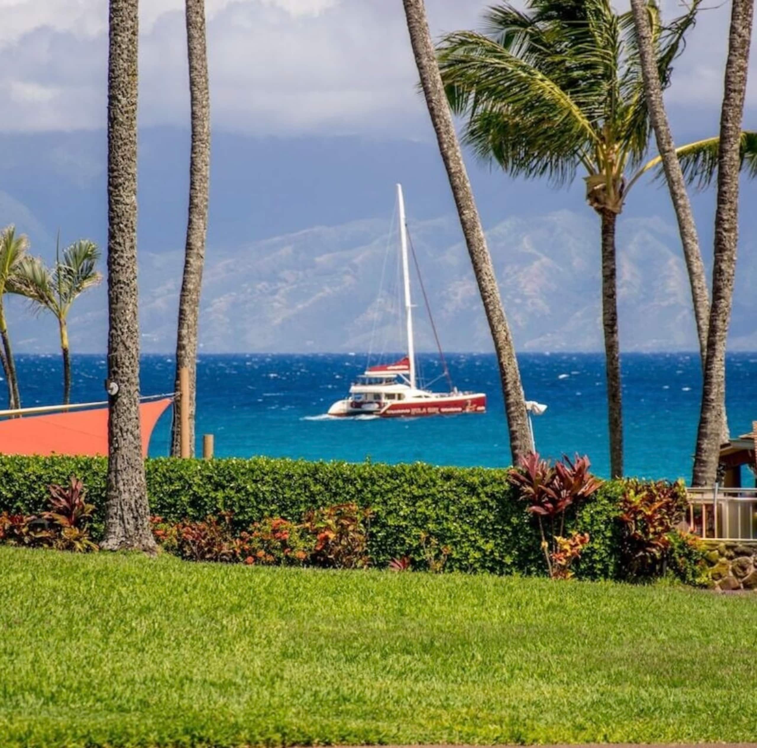 Oceanfront Resort Maui~ AC/King~ Sandy Napili Bay! - Image 40