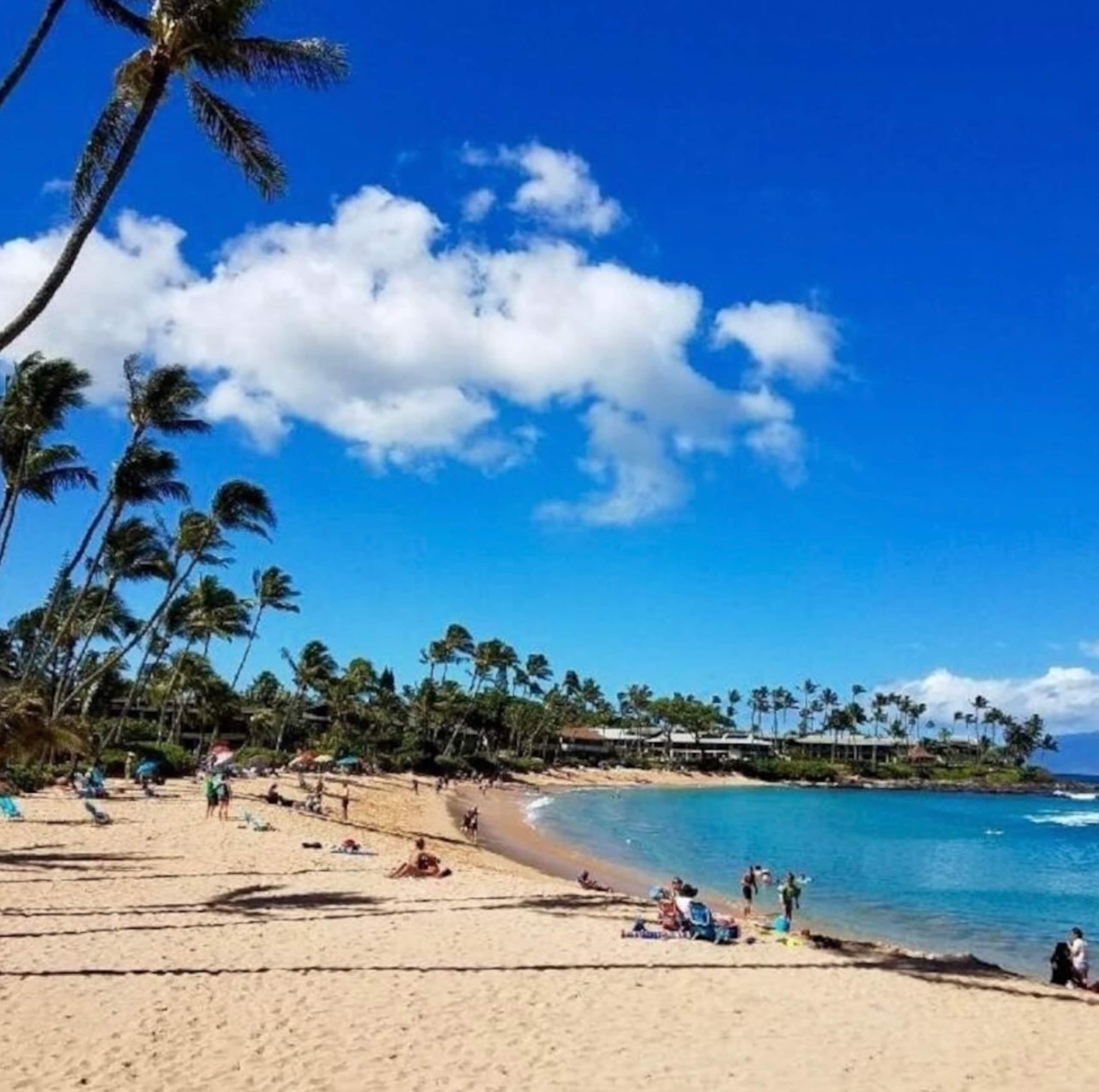 Oceanfront Resort Maui~ AC/King~ Sandy Napili Bay! - Image 2