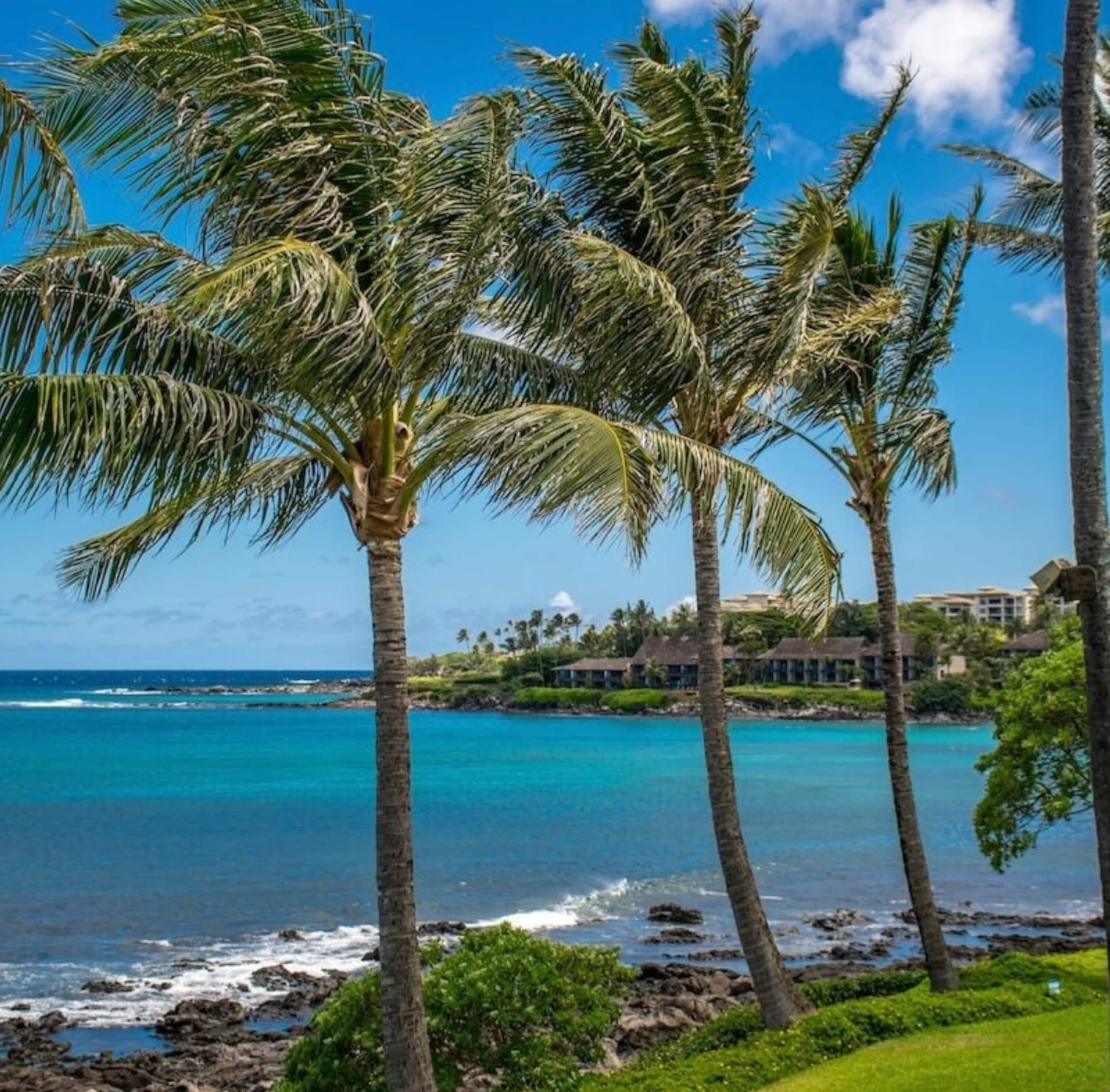 Oceanfront Resort Maui~ AC/King~ Sandy Napili Bay! - Image 55